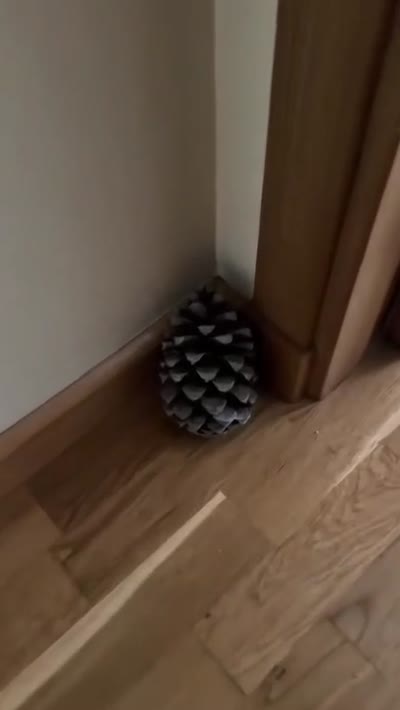 Годный лайфхакер от испанцев или нет? 🇪🇸 • • #малага #испания #андалу...